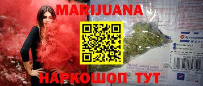 сатива Гай