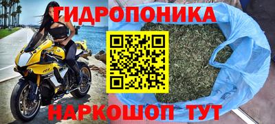 соль ск Гатчина