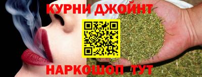 сатива Гай