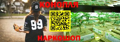 соль ск Гатчина